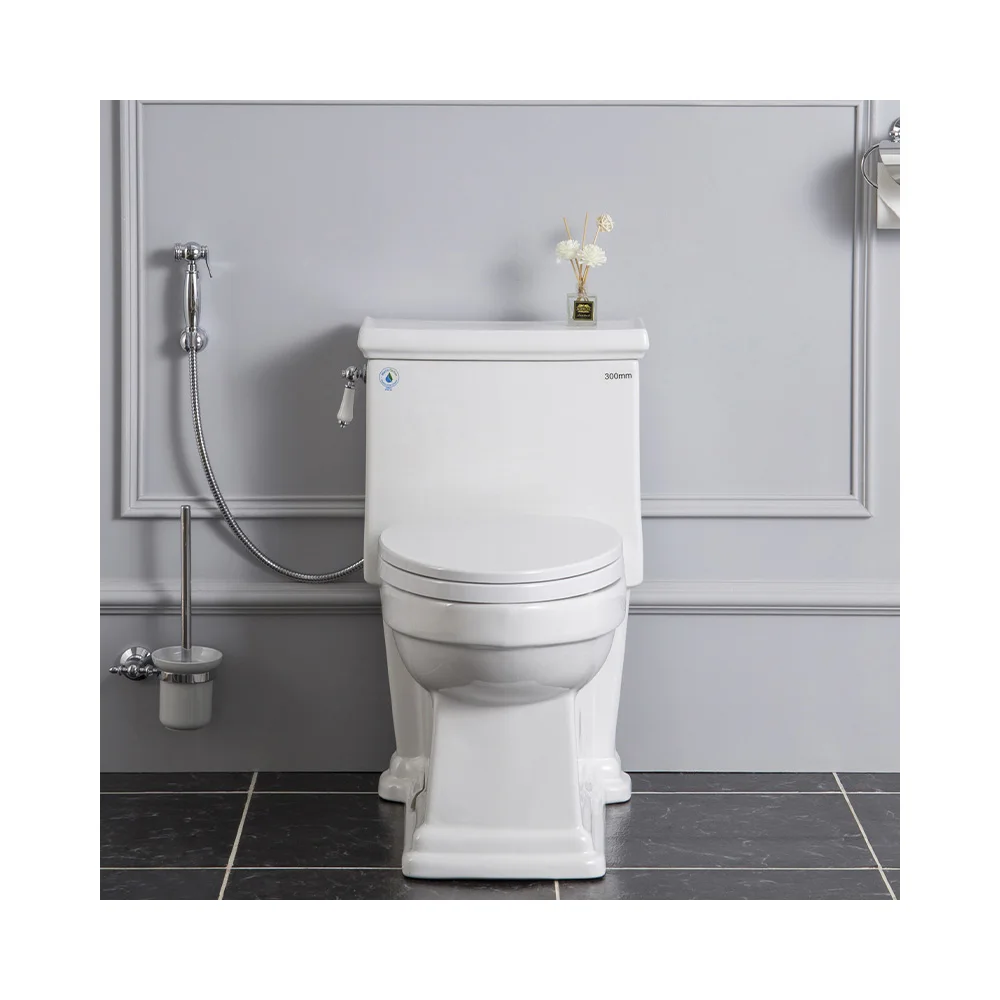 

The Best Quality Traditional Ceramic One-Piece Toilet Double Flush Toilet