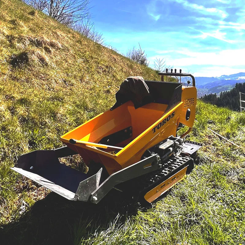 

Online deposit payment Small Dumper Hydraulic garden Mini Dumper Trucks China Brand New diesel Dumper Customized