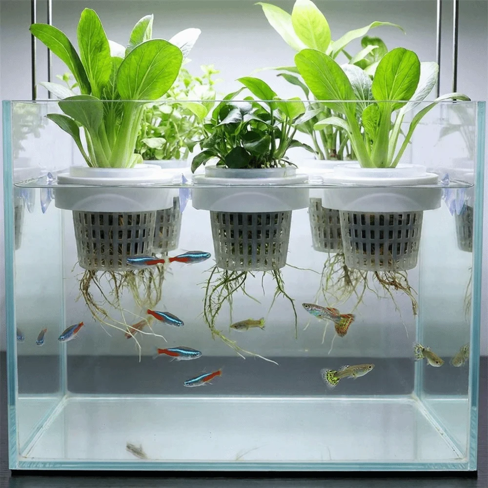 Plastic Floating Aquatic Plant Basket Round Root Protection Hydroponic Plant Holder Suction Cup Plant Root Basket Fish Tank