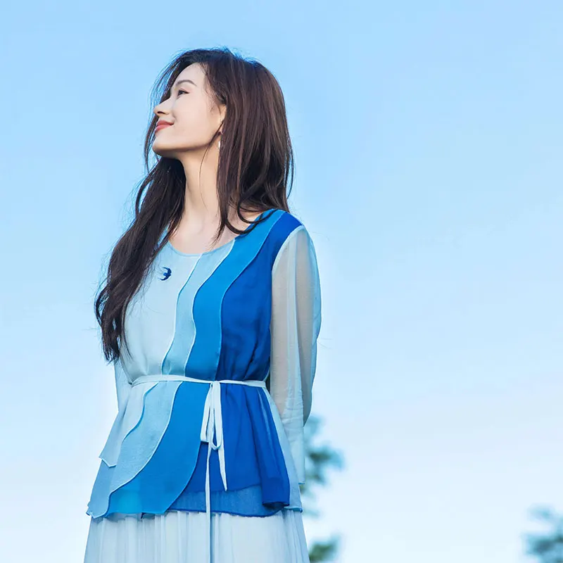 

Silk Long Sve Top Women's New Flower Fairy Spring Summer 2025 Commute Sle Straight Cut Pure Color round Ne Pullover