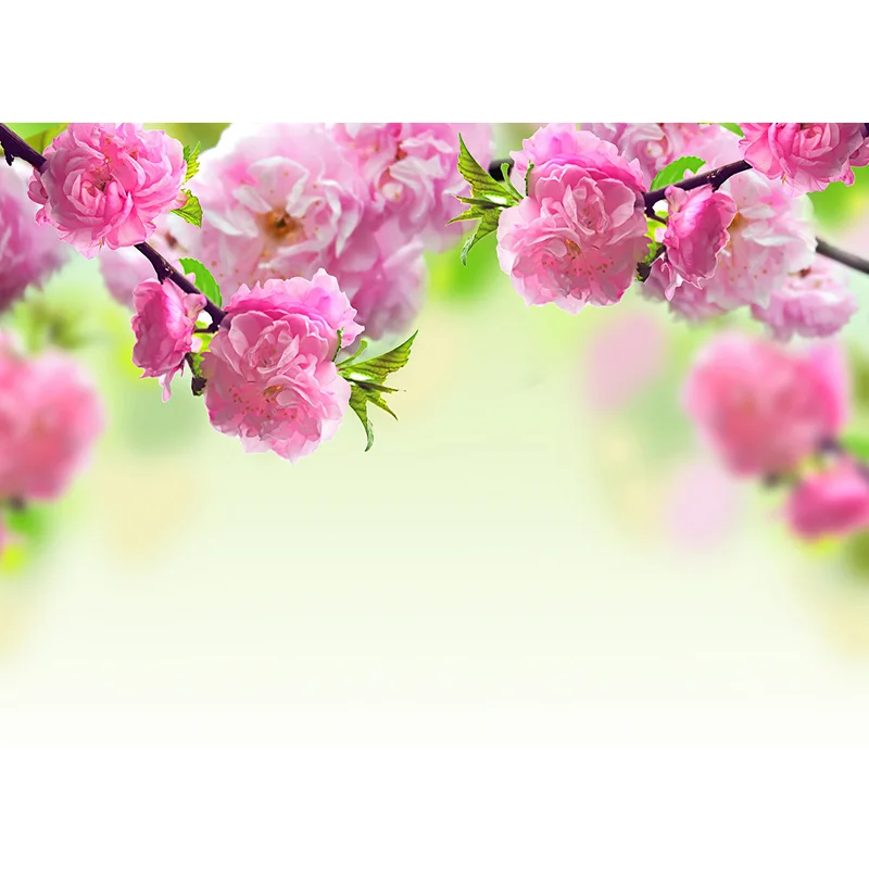 Telones de fondo de tela fotorística para fotografía, accesorios de flores, tablones de madera, Fondo de estudio fotográfico 21921 CXSC -14