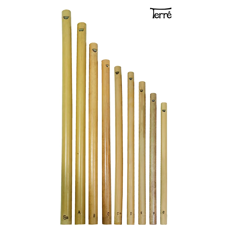 Terre Flute Profess…