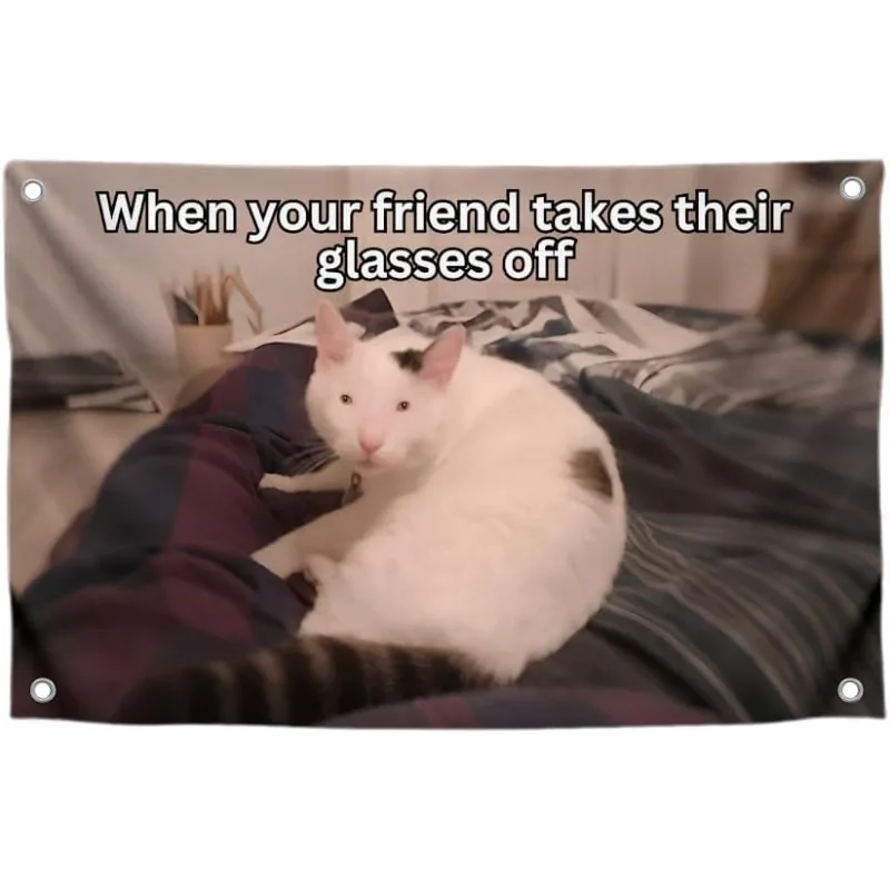 3x5 Feet Cats Meme Flag with Quote 