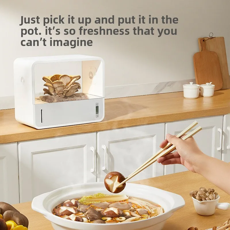 Smart Mushroom Ecological Box Shiitake Mushroom Cultivator Indoor Soilless Cultivation Mushroom Cultivation Box