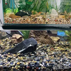 Natürliche dekorative Flussfelsen, gemischte Farbe, Kieselsteine, Kies, kleine Gartenfelsen, Bodenbedeckung für Aquarien, Landschaftsgestaltung 10 Hauptverkäufe River Pebbles - №8