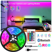1-30M USB 5V LED Strip Lights With Bluetooth 24Keys Remote Control RGB Flexible Lamp Tape For Room Decoration TV Backlight Diode