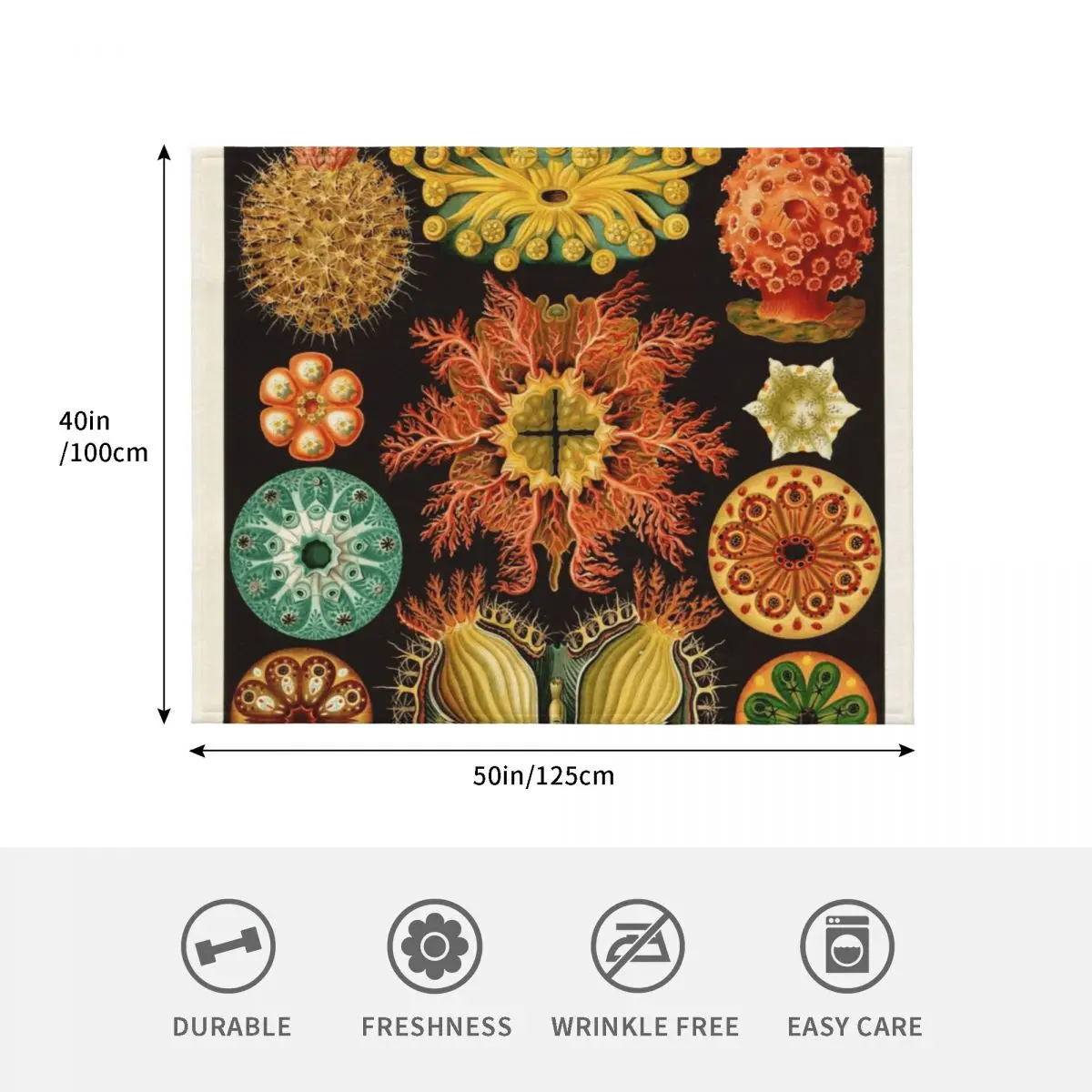 Ernst Haeckel - Ascidiae (Sea Squirts) - بطانية رمي توضيحية نباتية عتيقة للطفل بطانيات أريكة عملاقة ثقيلة #4