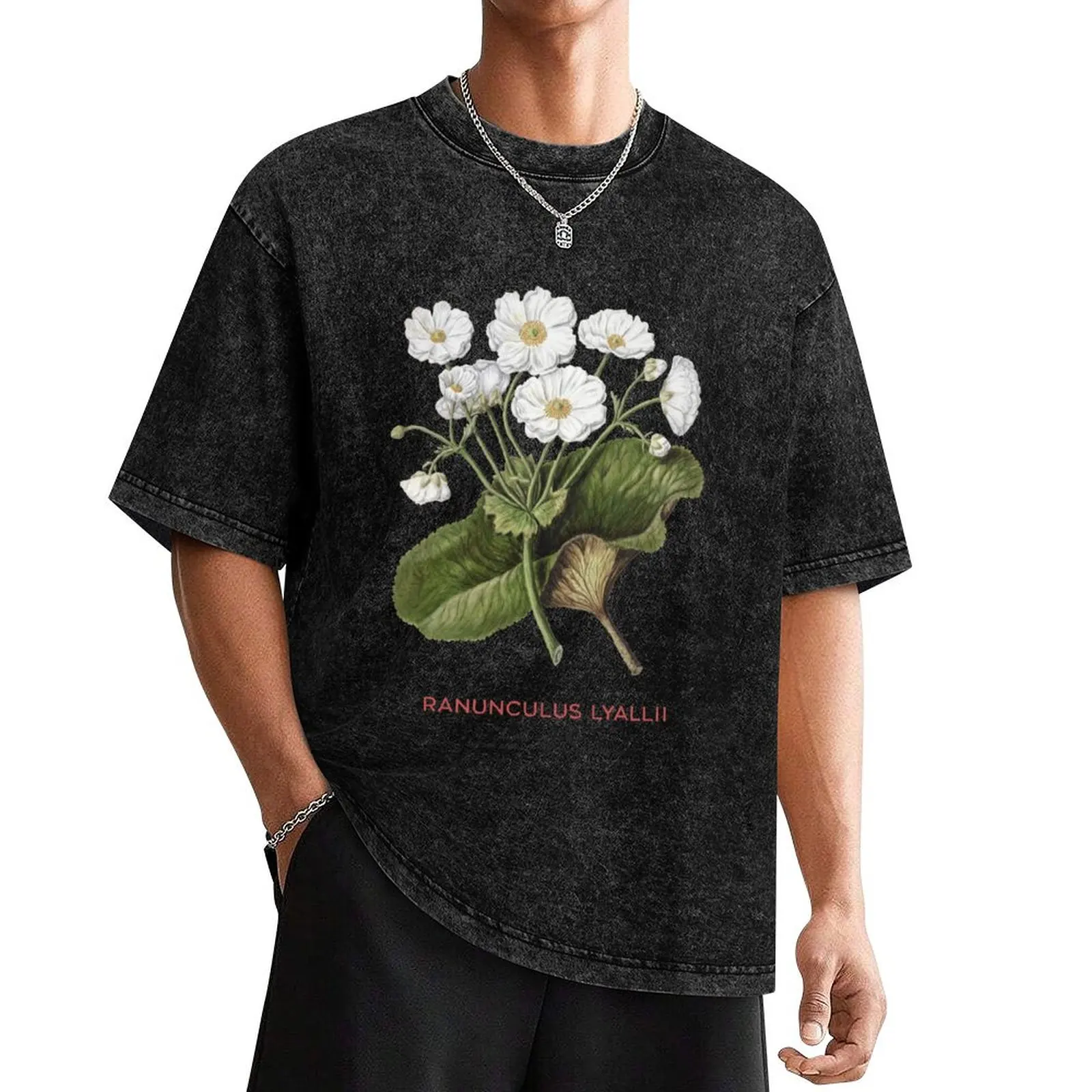 Mount Cook lily or Ranunculus lyallii T-Shirt customizeds plain custom shirt mens graphic t-shirts anime