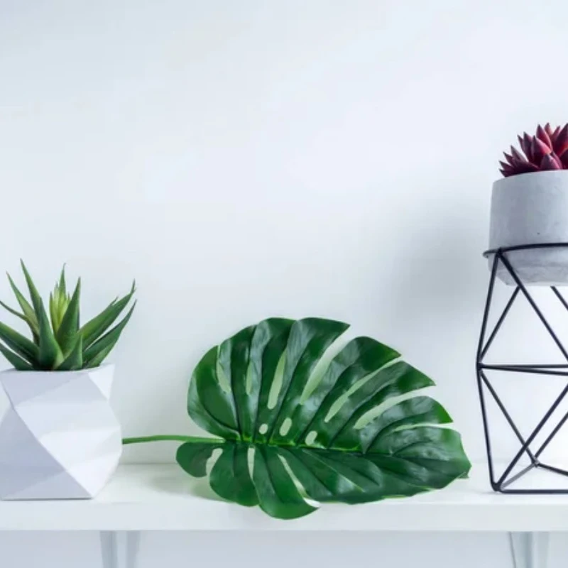 مجموعة بونساي عصارية صناعية صديقة للبيئة - نباتات صبار بلاستيكية صغيرة واقعية للمكتب المنزلي وديكور طاولة الزفاف #2
