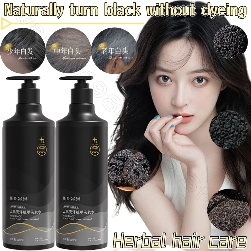 Polygonum Multi-plant Extract Shampoo Soft and Moisturize To Nourish Black Hair To Improve Hair Loss and Control Fluffy Shampoo