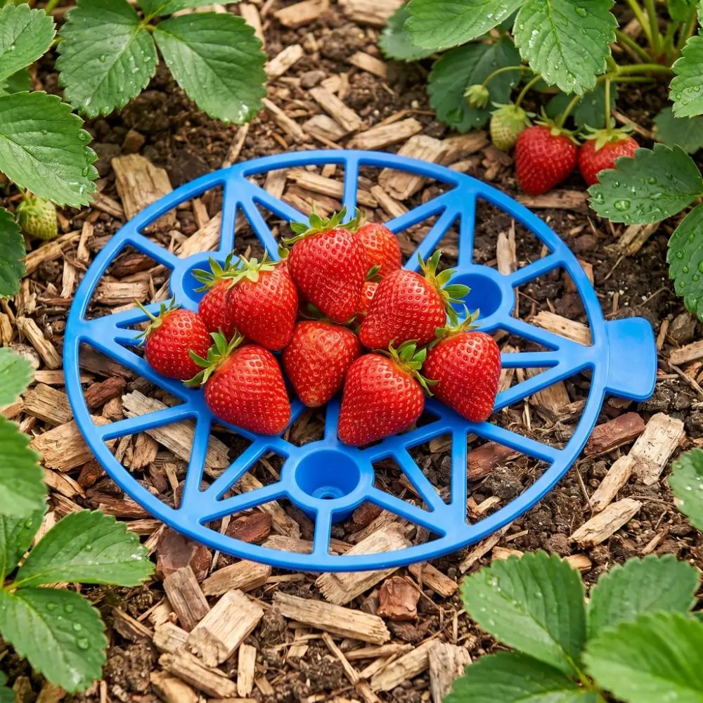 Plastic Watermelon Stand Stable Design Anti- Rotting Fruit Bracket Plant Support Hollow Out Gardening Melon Tray Fruit Grow