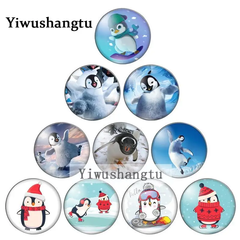 Cute animals lovely penguin 8mm/10mm/12mm/18mm/20mm Round photo glass cabochon demo flat back Making findings ZB0543