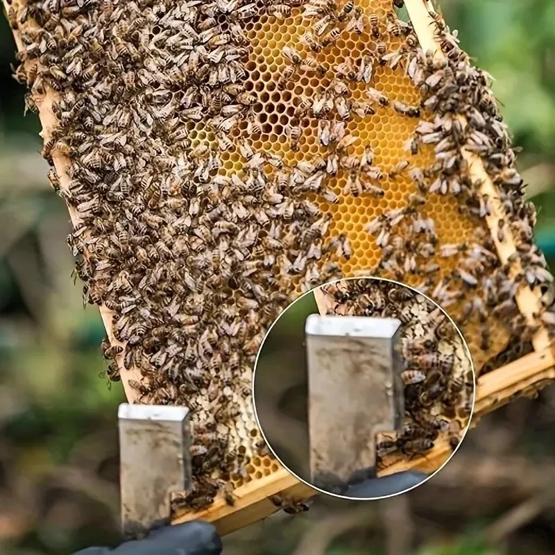 1pc Beekeepers Extracting Scraper Beekeeping Stainless Steel HookHive Tool Beekeeping Equipment