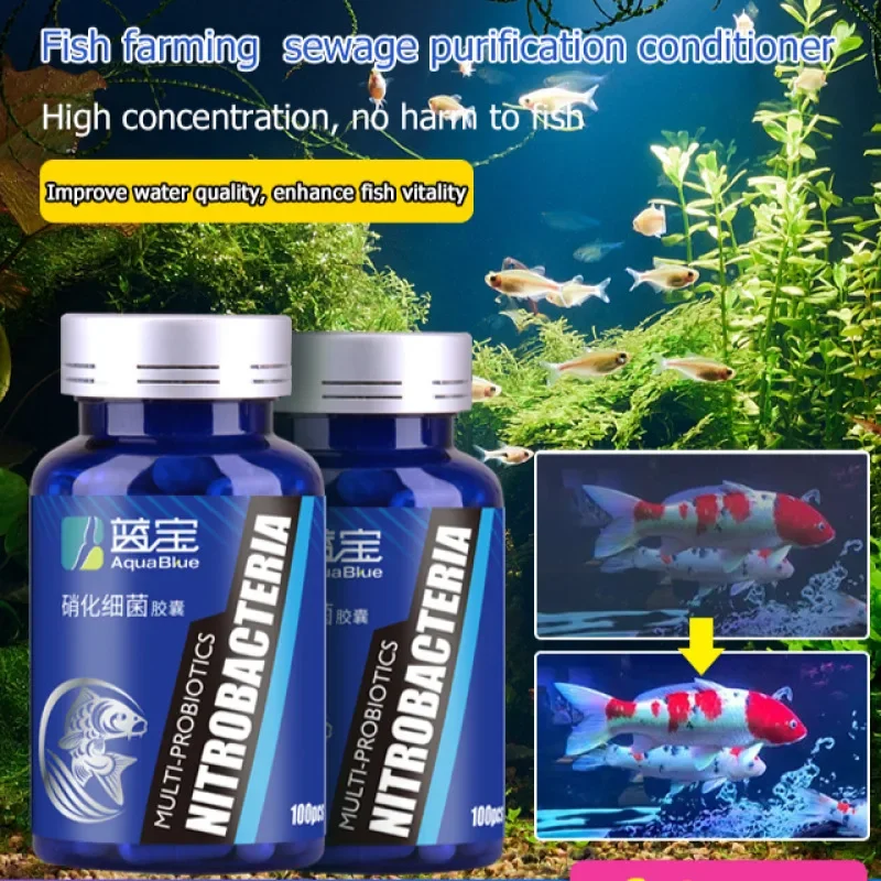 Nitrifying Bacteria…