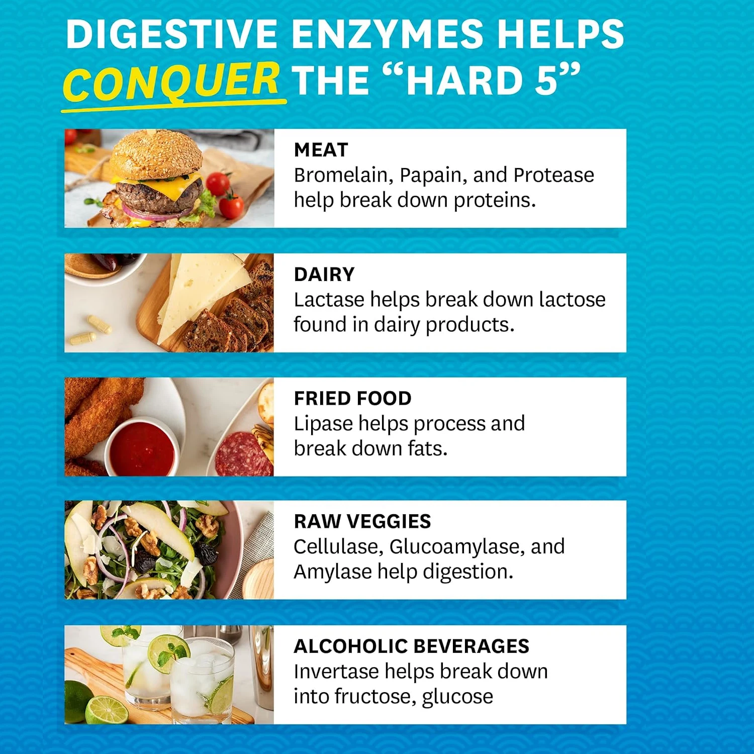 البروبيوتيك للكلاب - يساعد على الحفاظ على توازن الجهاز الهضمي والمنتظمات وامتصاص المغذيات للأمعاء الصحية #3