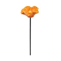 HH654-orange