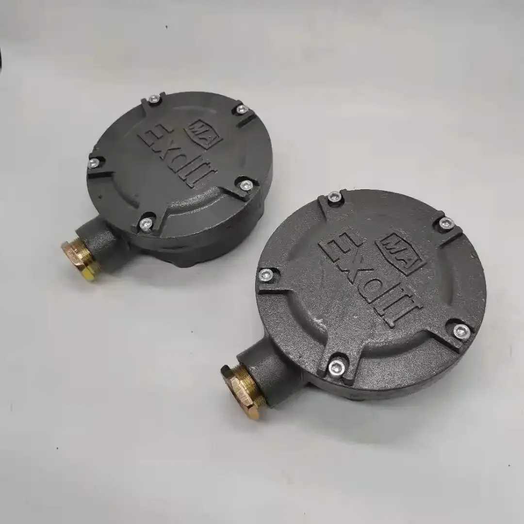 Y 시리즈 Y2 시리즈 일반 모터 개조 방폭 모터 접속함 공장 검사 및 수용