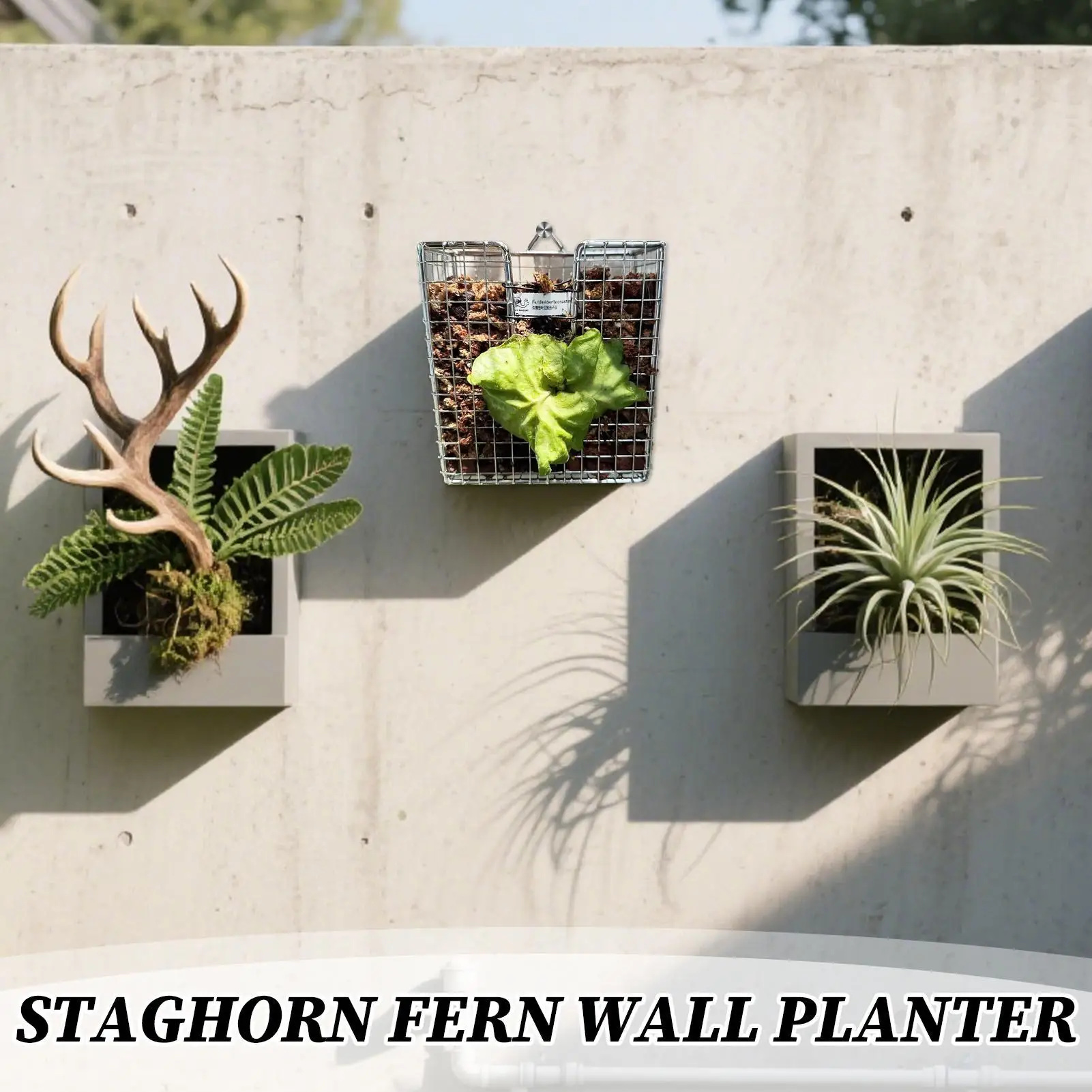 مجموعة أدوات تركيب السرخس من ا - مراجعة Vertical Wall Planter وسعره