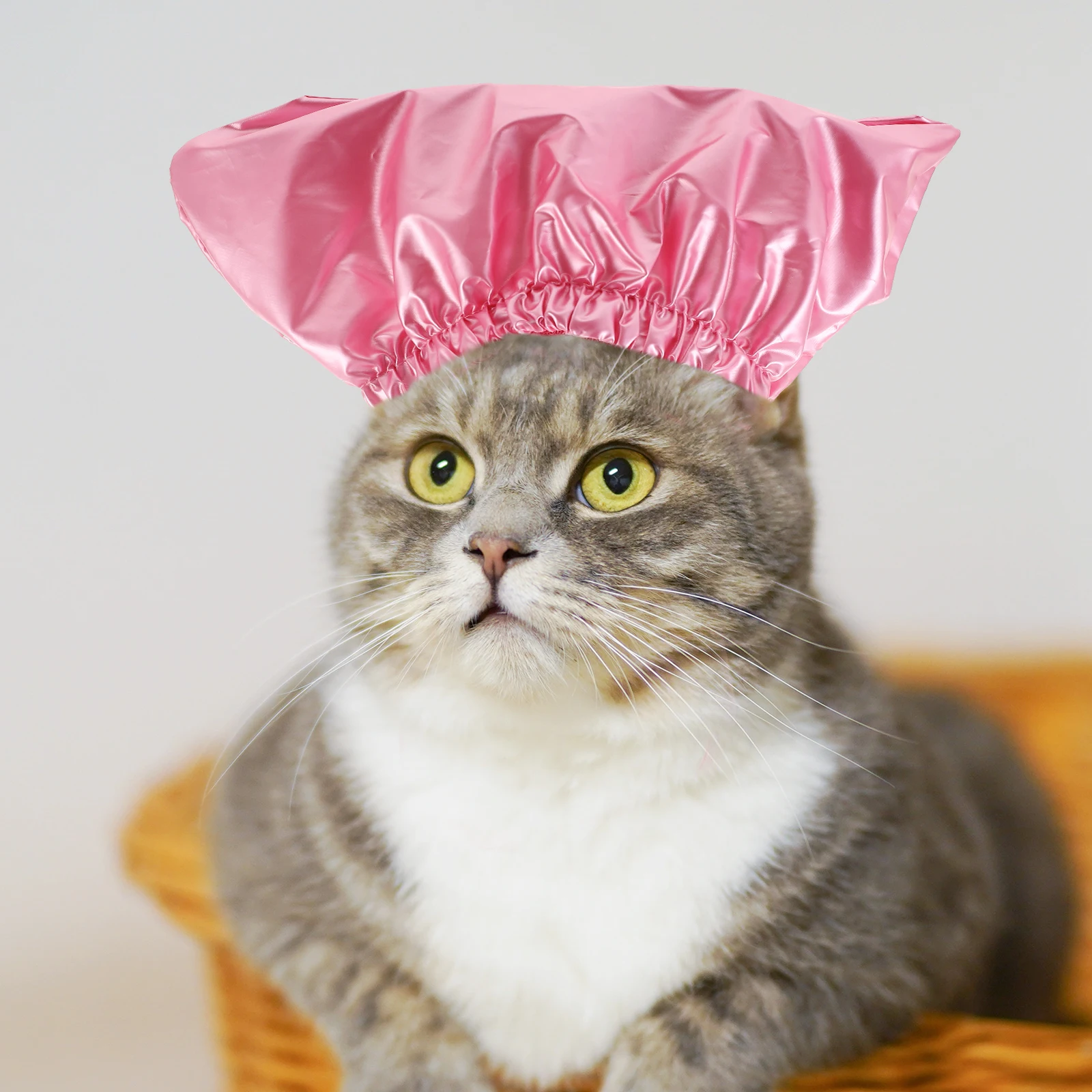 

Pet Shower Cap Waterproof Polyester for Dogs Cats Puppy Kitten Bathing Hat Head Cover Reusable Easy Clean Dog Hats Small Dogs
