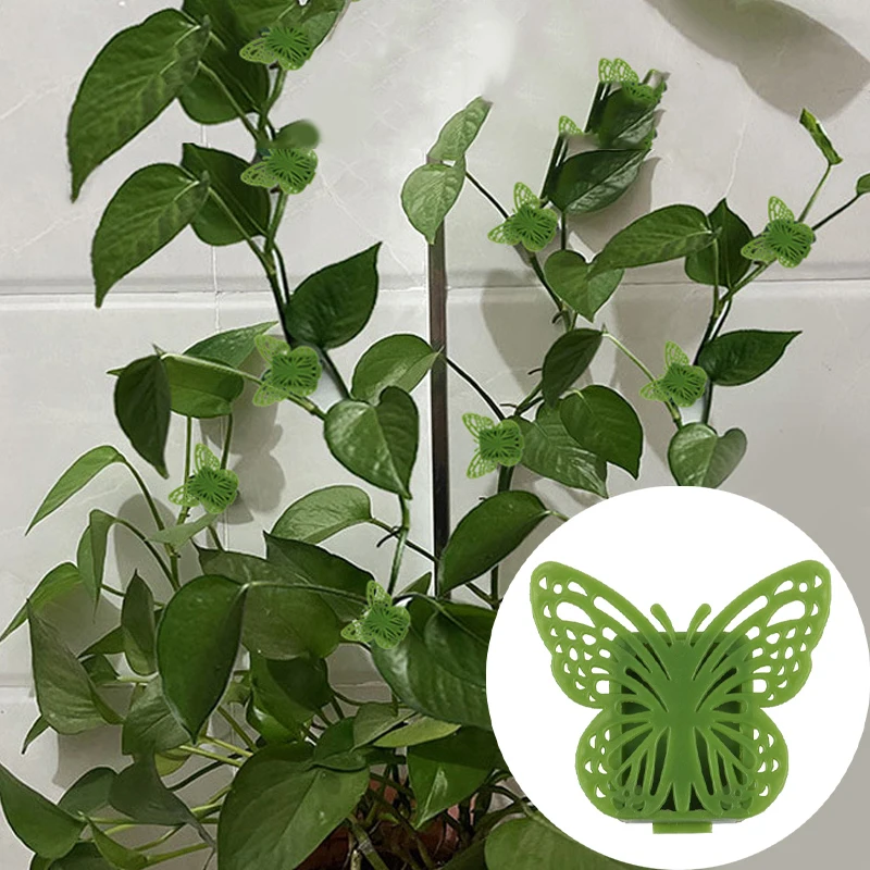 Plant Climbing Wall Fixture Clips Invisible Plant Clips Self-Adhesive Hook Vine Traction Plant Clips Home Garden Decor