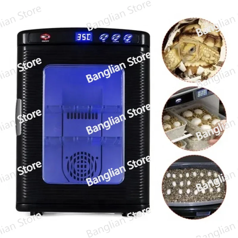 LED Digital Display Reptile Constant Temperature Incubator Machine for Hatching Lizard Turtle Snake Reptiles Eggs Incubator