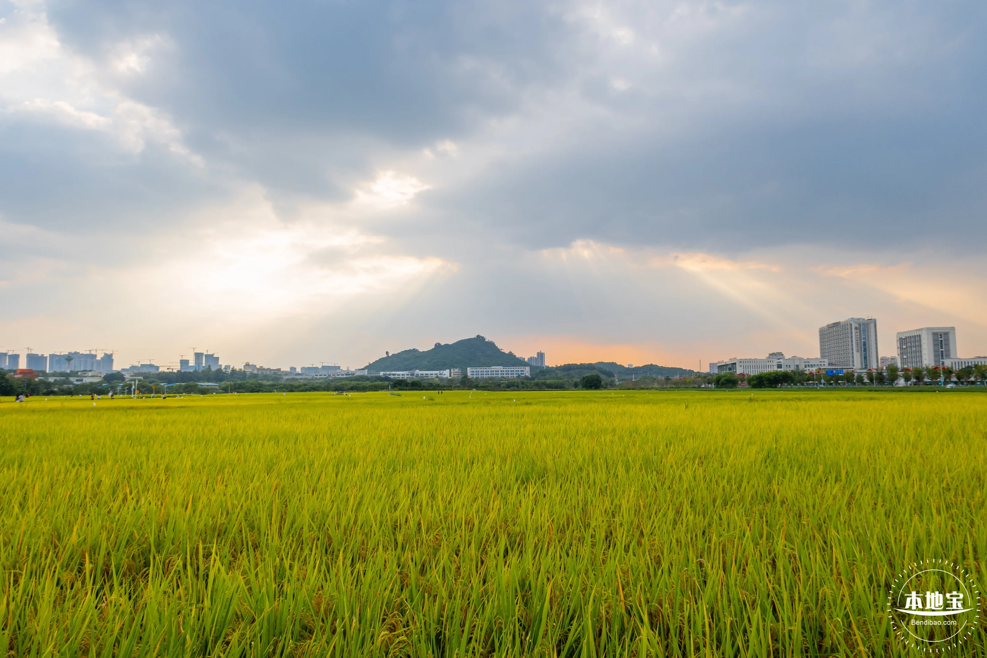 

Металлические тяги рулевого управления для радиоуправляемых моделей WPL B1 B-1 B14 B-14 B24 B-24 C14 1/16, запчасти для тюнинга