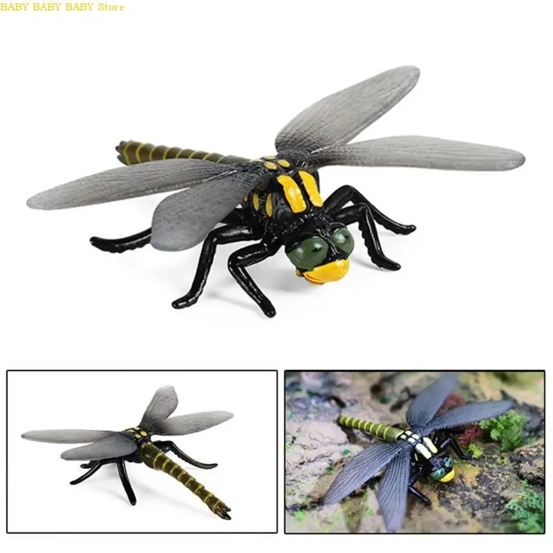 Q81A Spiders Scarab Toy Perfect for Role Playing and Pretend Play Hand Painted Figurine Scarab