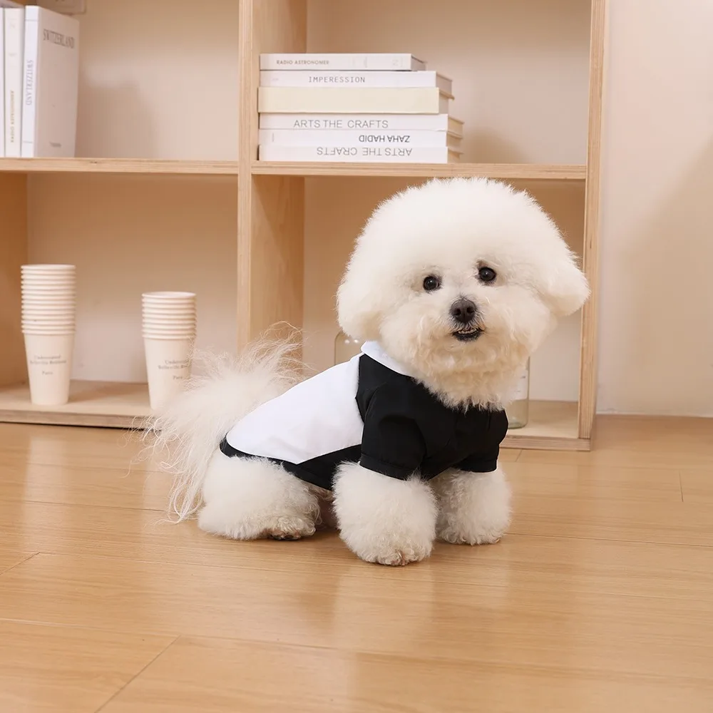 Four Legs Pet Rainproof Clothes Cute Panda Transformer Outfit Puppy Rainy Day Travelling Clothes Outdoor Pet Supplies