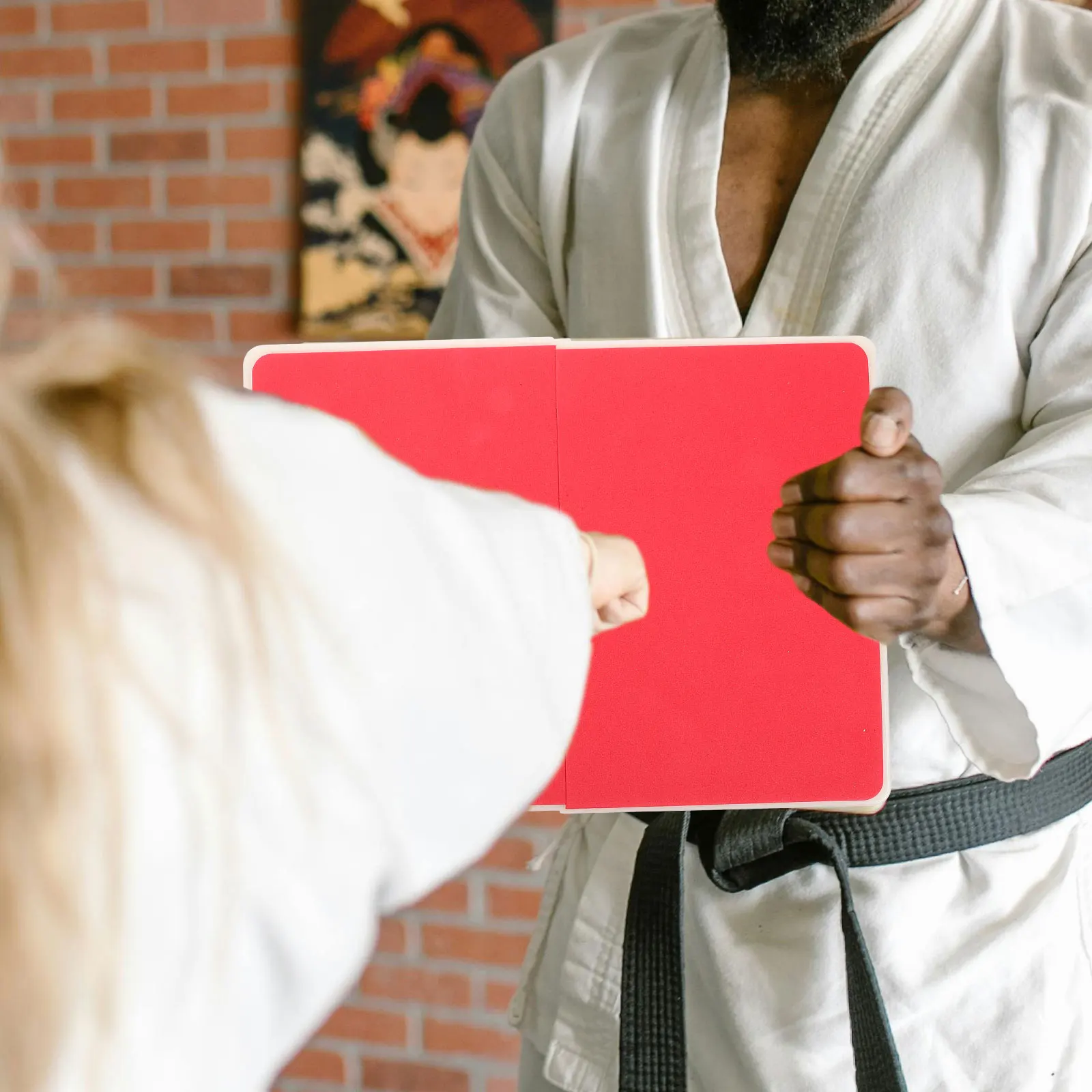 

Performing Karate Board Reusable Taekwondo Board for Beginners Sturdy ABS Eva Texture Supple Moderate Hardness Practical Gift