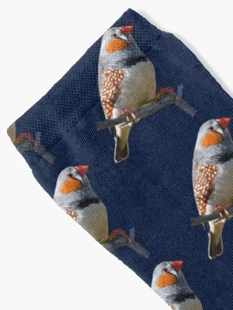 Zebra Finch 4 Socks sport custom funny gift Novelties Men Socks Luxury Brand Women's