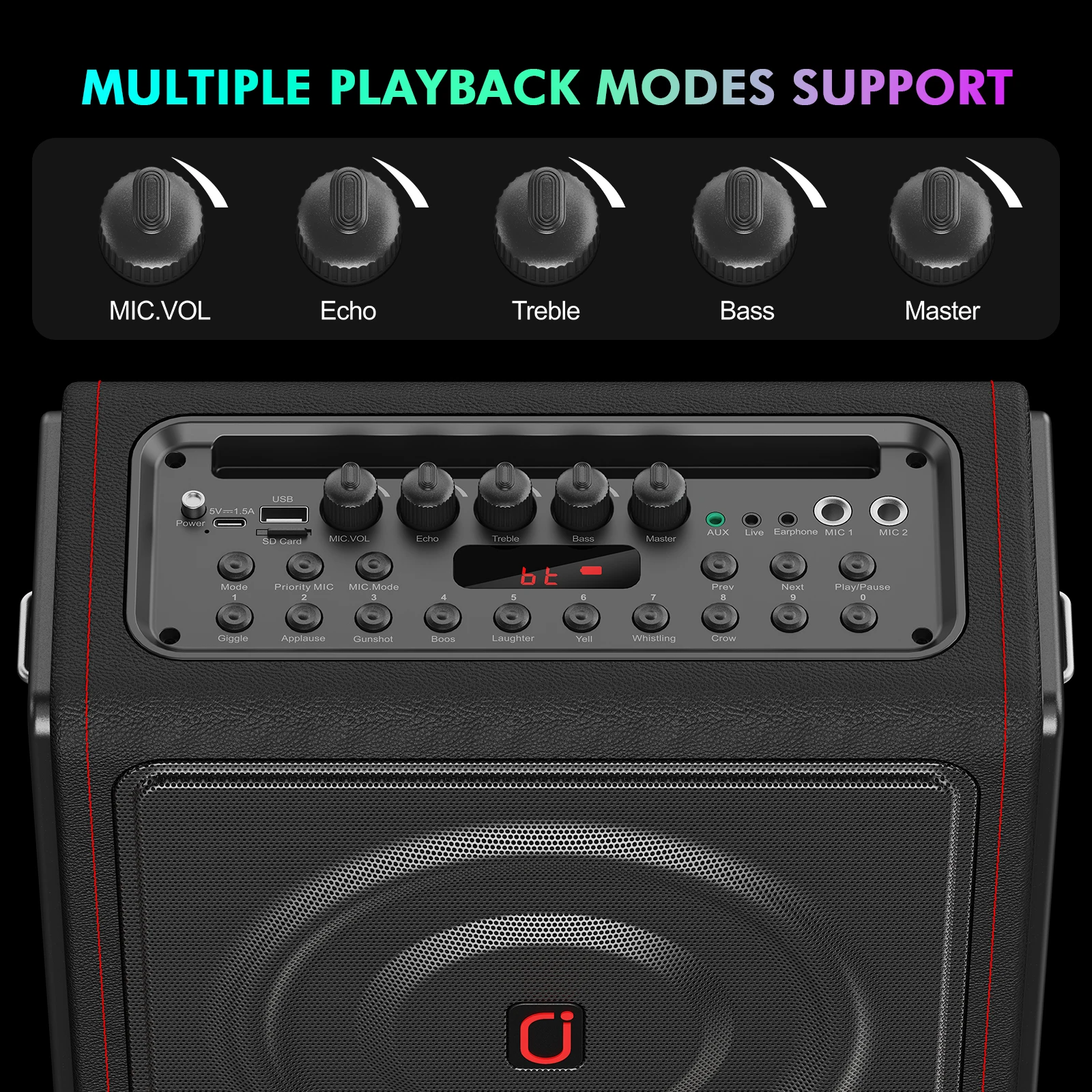 Karaoke Machine with Bluetooth 5.3 Speaker and 2 Wireless Mics