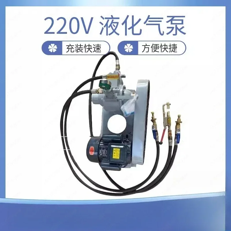 12v liquefied gas conductive pump 220V accessories 48v liquefied gas pump car on-board inverted high pressure pump