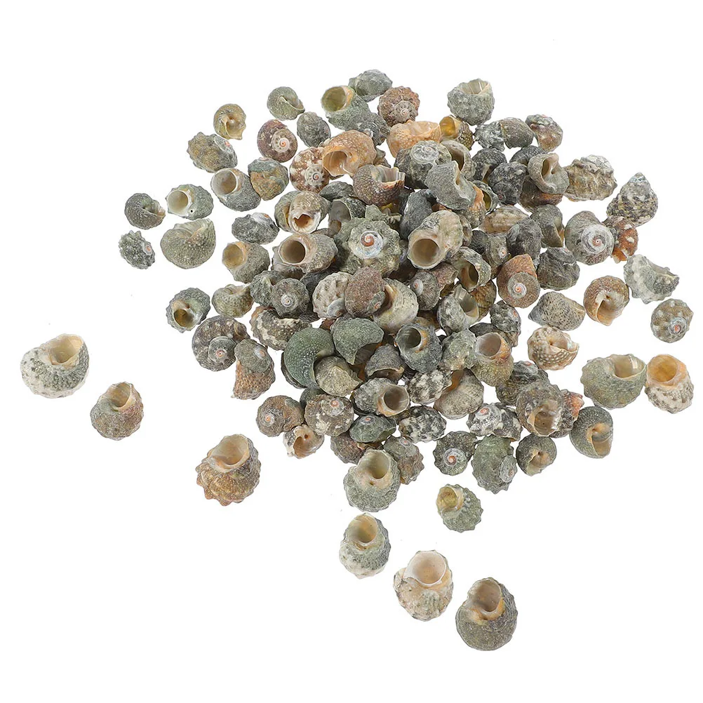 

100Pcs Natural Conch Shell Decorations Hermit Crab Shell Replacements Fish Tank Aquarium Landscape Decor Delicate Creative Adorn