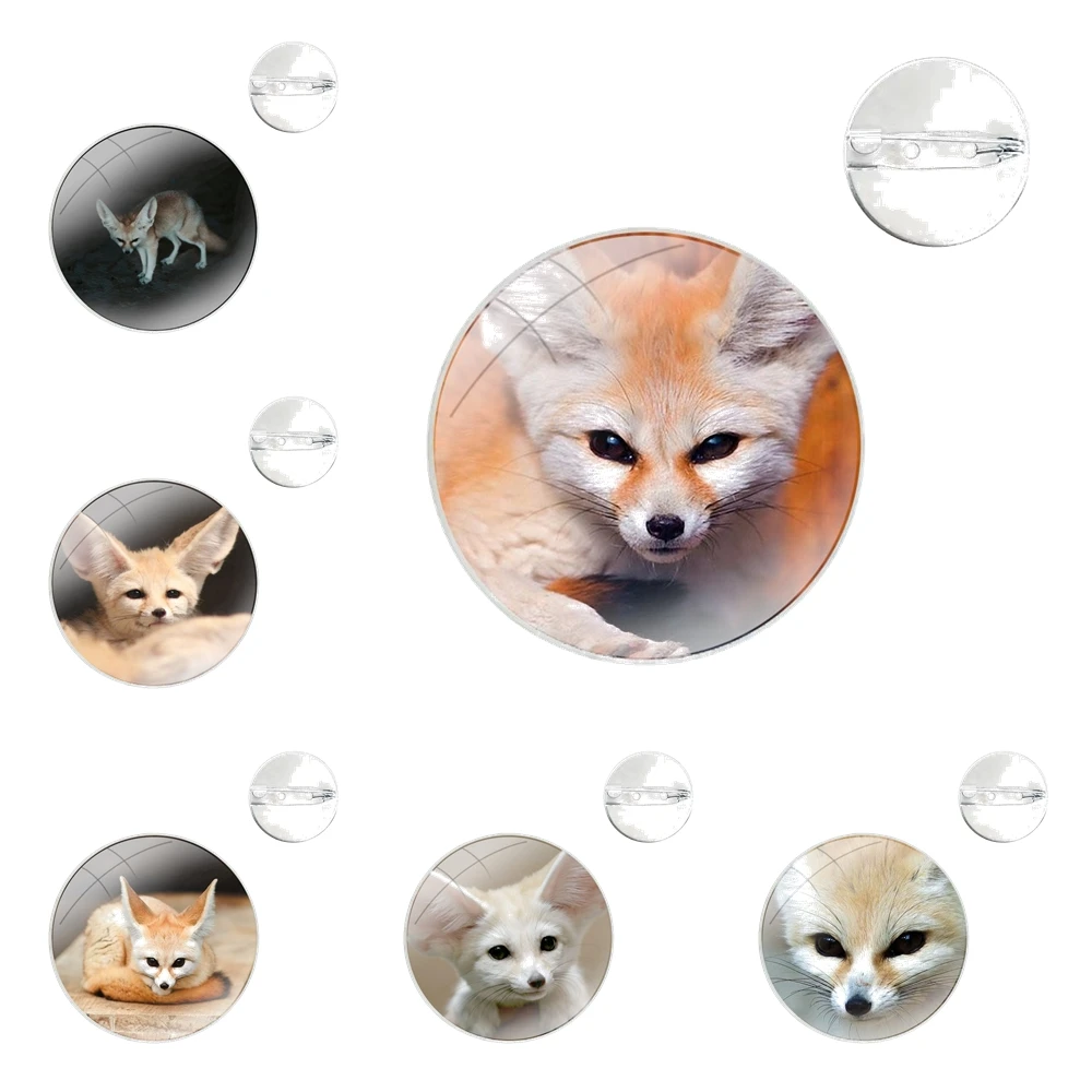 Glass Dome Brooches Badge Pins For Clothes Hat Shirt Lapel Bag Animal Fennec Fox