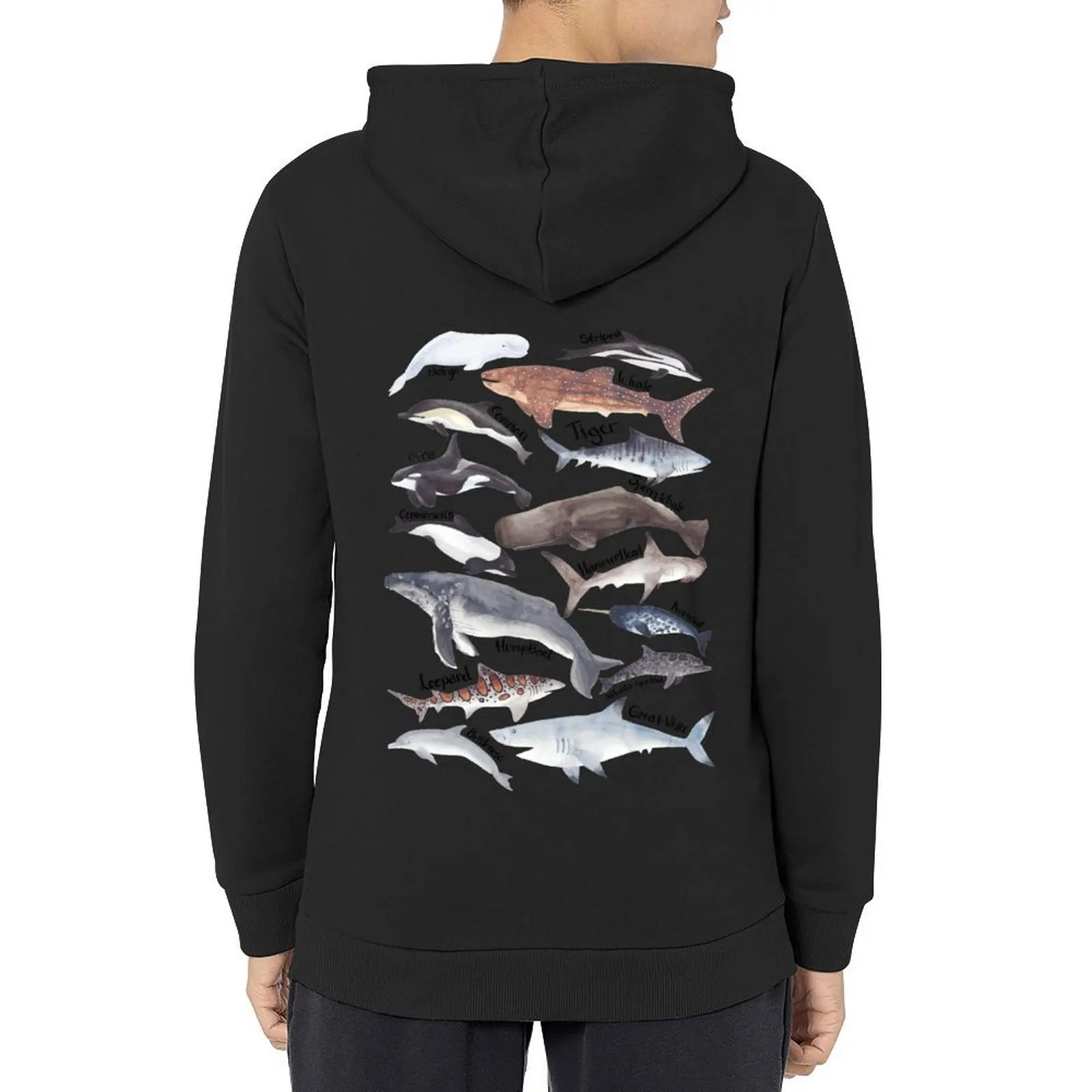 

Types of whales, sharks and dolphins watercolour Hoodie men's sweat-shirt set hooded shirt hoodie