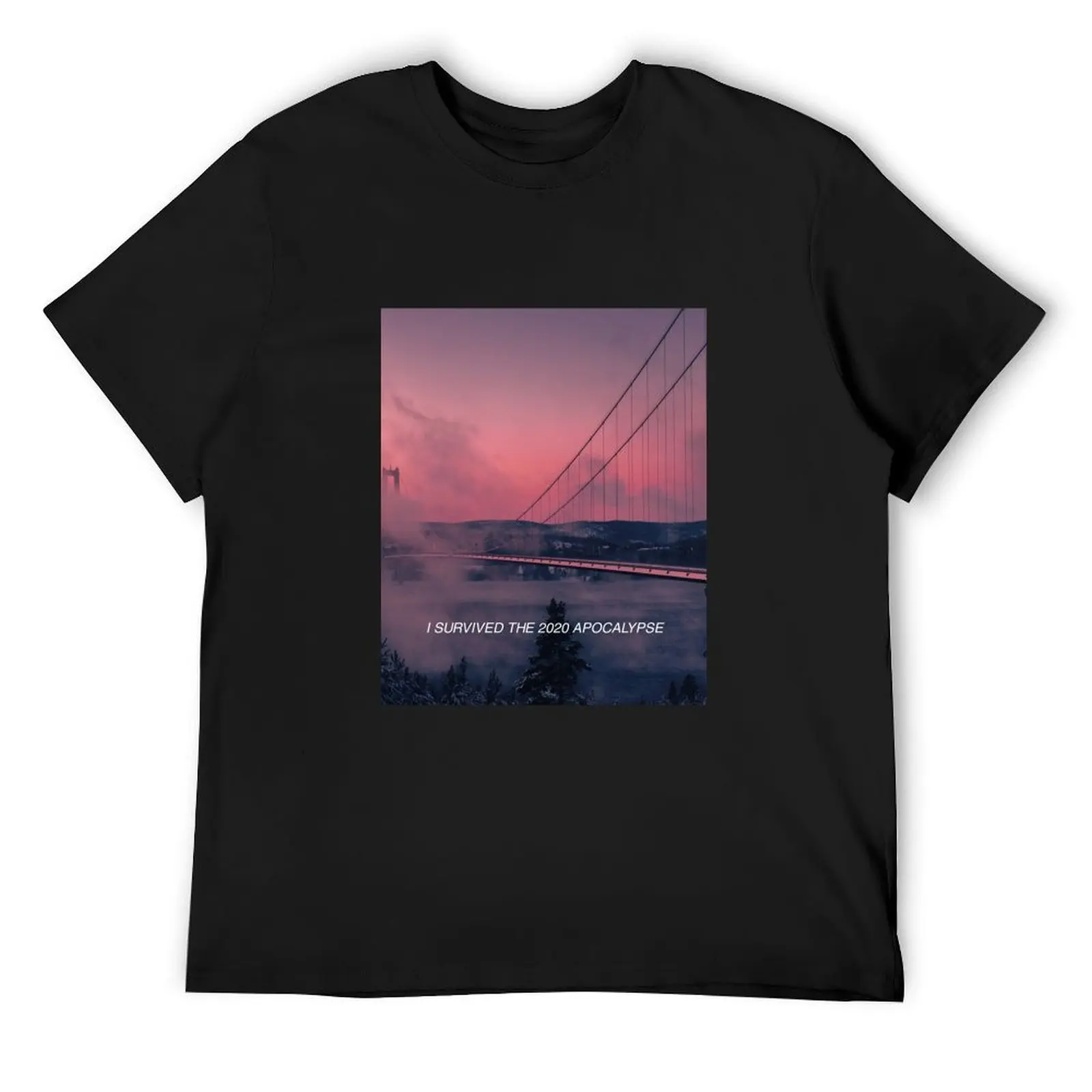 

I survived the 2020 apocalypse T-Shirt vintage graphic tee croswit shirt man summer shirt men graphic t shirts