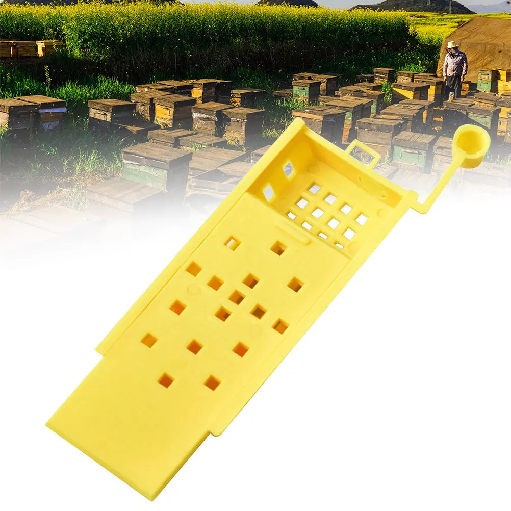 10Pcs Beekeeping Queen Cage Kit Plastic Lightweight Portable Bee Rearing Cup Roller Catcher Box Essential Tool for Professional