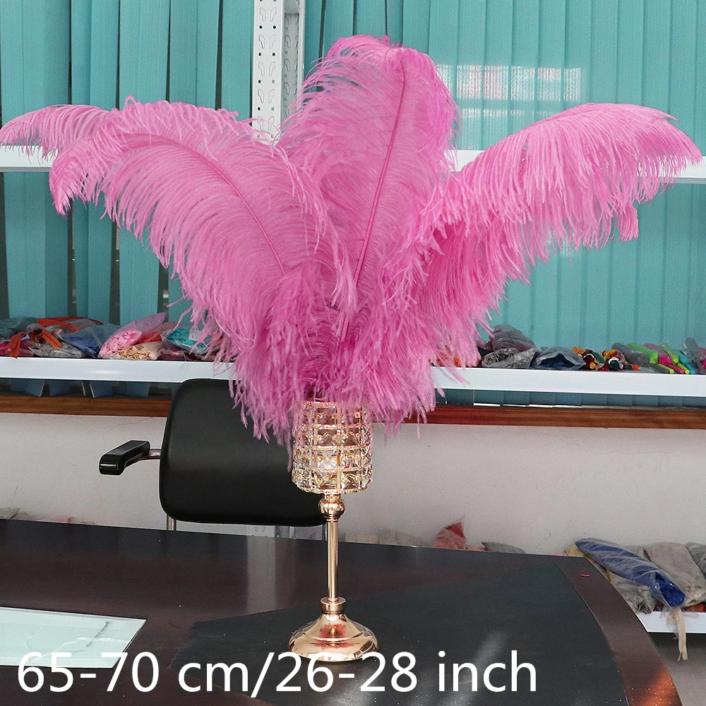 10PCS-200PCS/Lot Big Pole Ostrich feather High Quality White Ostrich Feathers for Wedding Table Centerpiece Dance accessories