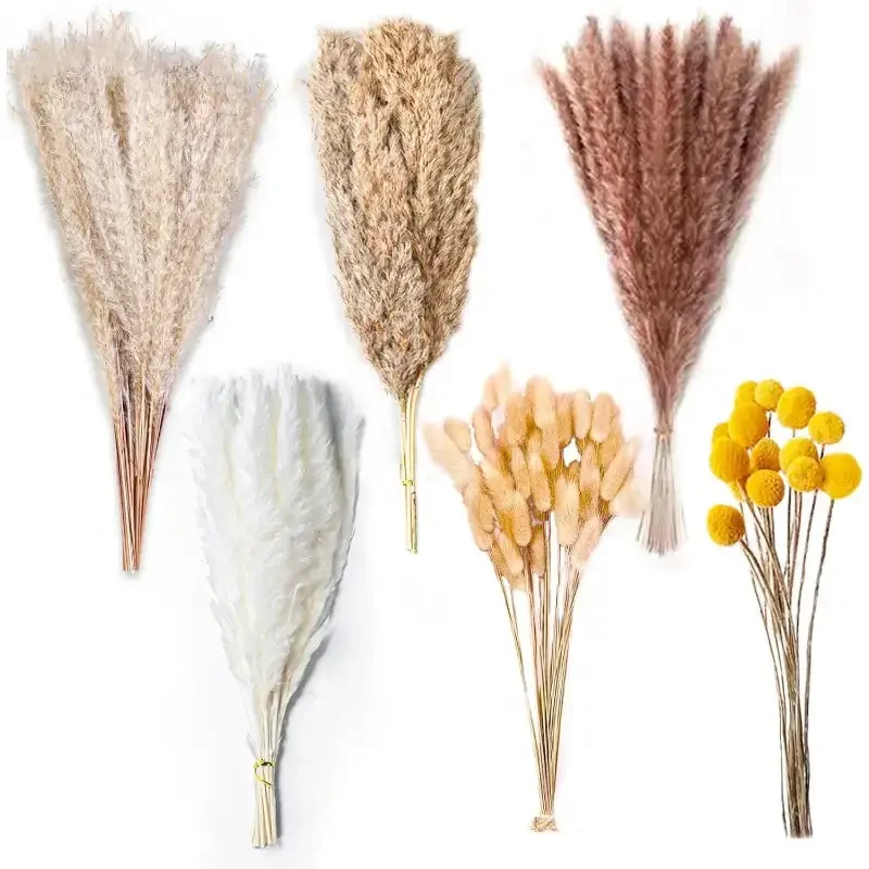 100PCS Natural dry Pampas Grass Decor - 17.5 "Fluffy Grass Bouquet - Decor fiori secchi per la festa in casa della stanza floreale di nozze