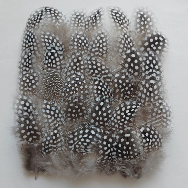 

500Pcs 5-7cm NATURAL Guinea Fowl Feathers Real Feathers Spotted Loose Natural Feathers For Crafts With White Big Polka Dots