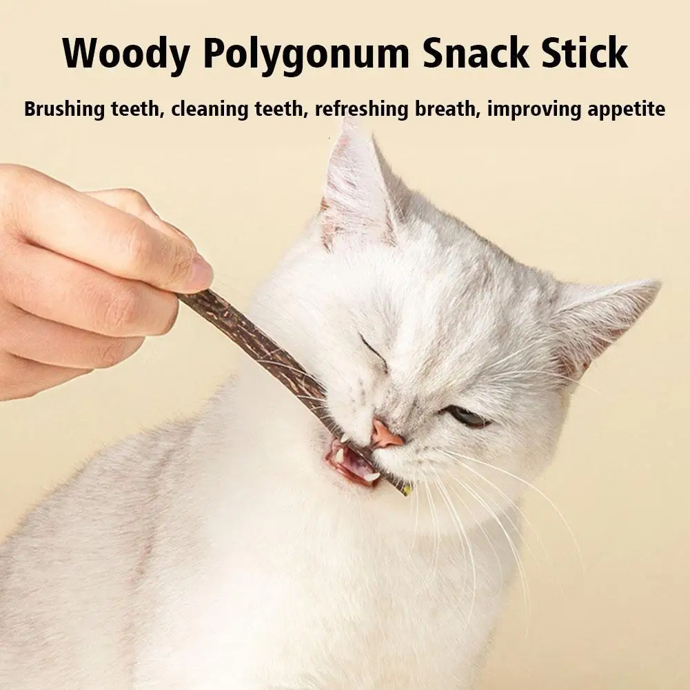 5Pcs Natural Catnip Pet Cat Molar Toothpaste Stick Cat Kitten Chew Toys  Pet Supplies Cat Snacks Sticks Healthy Pet Accessories