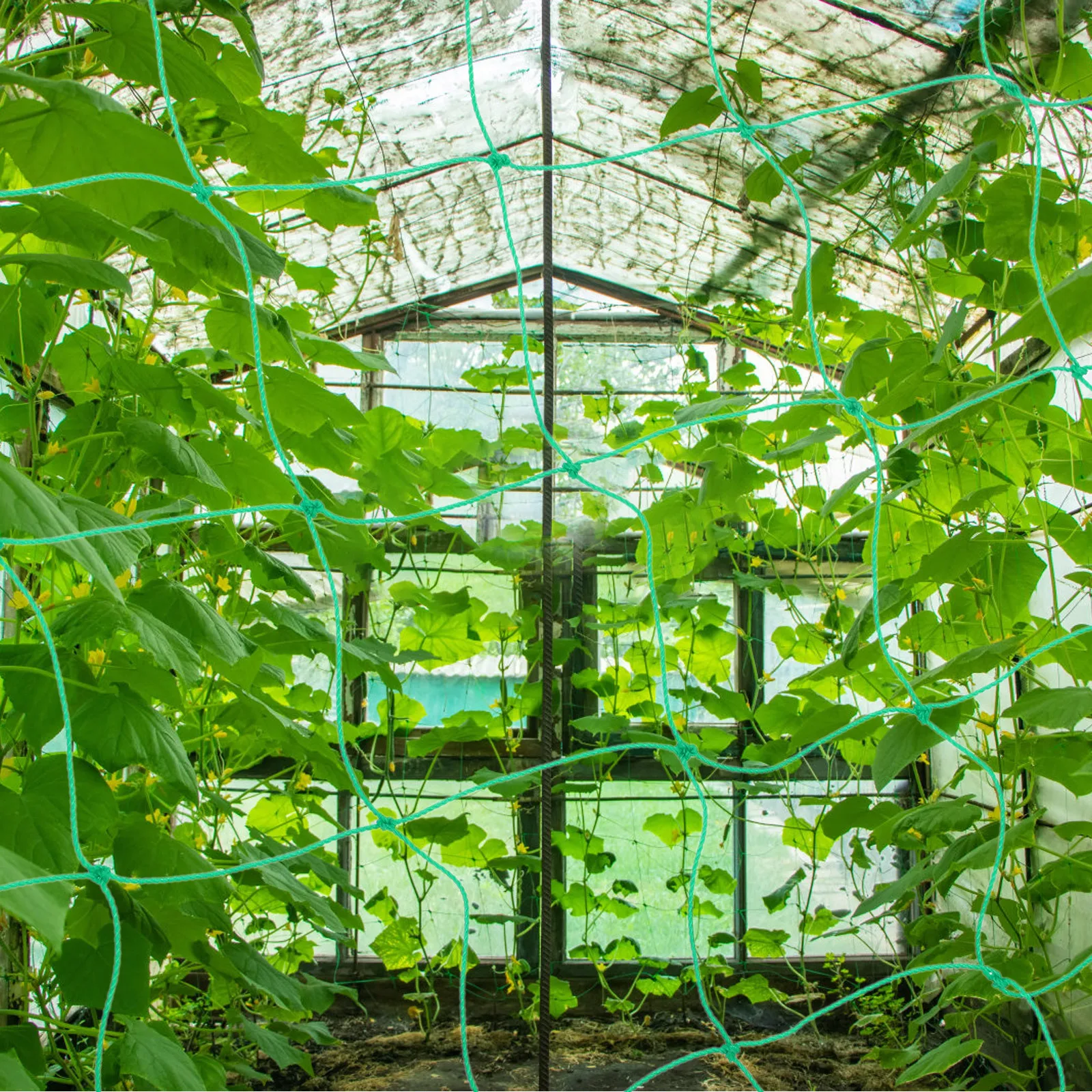 

2Pcs Garden Netting for Plants Climbing Trellis Net Heavy Duty Vine Climbing Vegetable Trellis Runner Bean Netting Outdoor