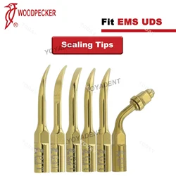 Woodpecker Dental Ultrasonic Piezo Scaler Tips For Endo Fit EMS UDS Scaler Handpiece G1T G2T E1T G4T P1T Dental Tools