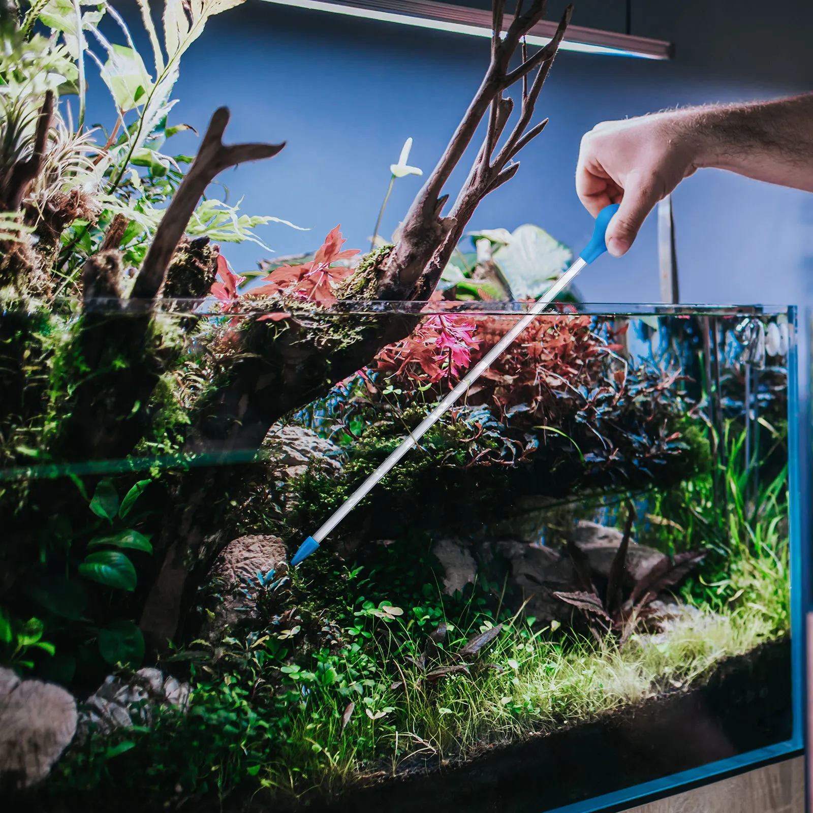 

Feeding Durable Aquarium Fish Tank Tool Kit Coral Liquid Fertilizer Feeder Reef Coral Feeder 35Cm Fertilizer Pipette