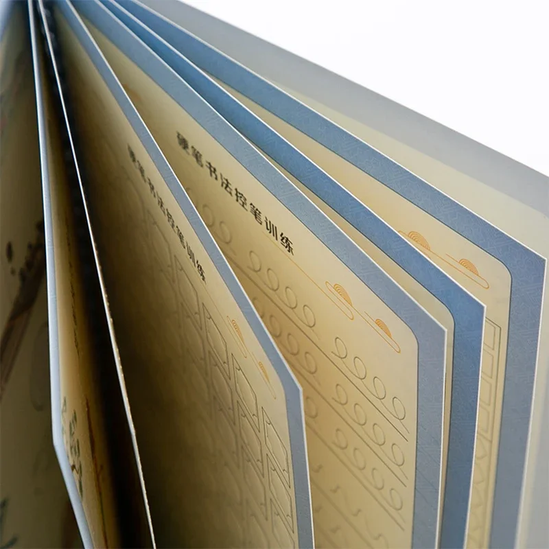 Writing Chinese Calligraphy Copybook For Adult Children Exercises Calligraphy hanzi Practice Word Book libros Beginners