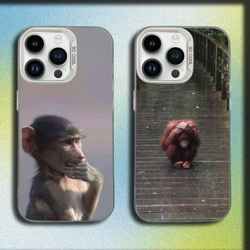 

Music Monkey Funny Phone Case For iPhone 16,15,14,13,12,11,Mini,Pro,SE,MAX White Matte Shockproof Cover