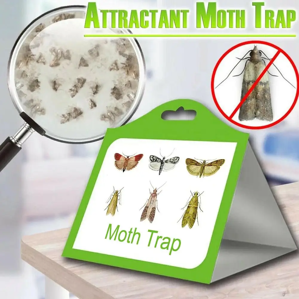 1pc Pantry Clothes Moth Trap Pheromone Moth Traps Fly Control Moth Garden Kitchen Sticky Pest Food Home Traps Dropshipping F7G9