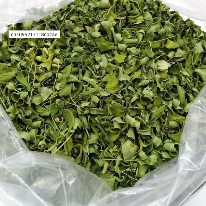 Folhas Naturais Secas de Moringa Oleifera (Folhas de Drumstick) Material Vegetal Puro Seco para Potpourri, Artesanato DIY, Aromatização e Decoração de Casa