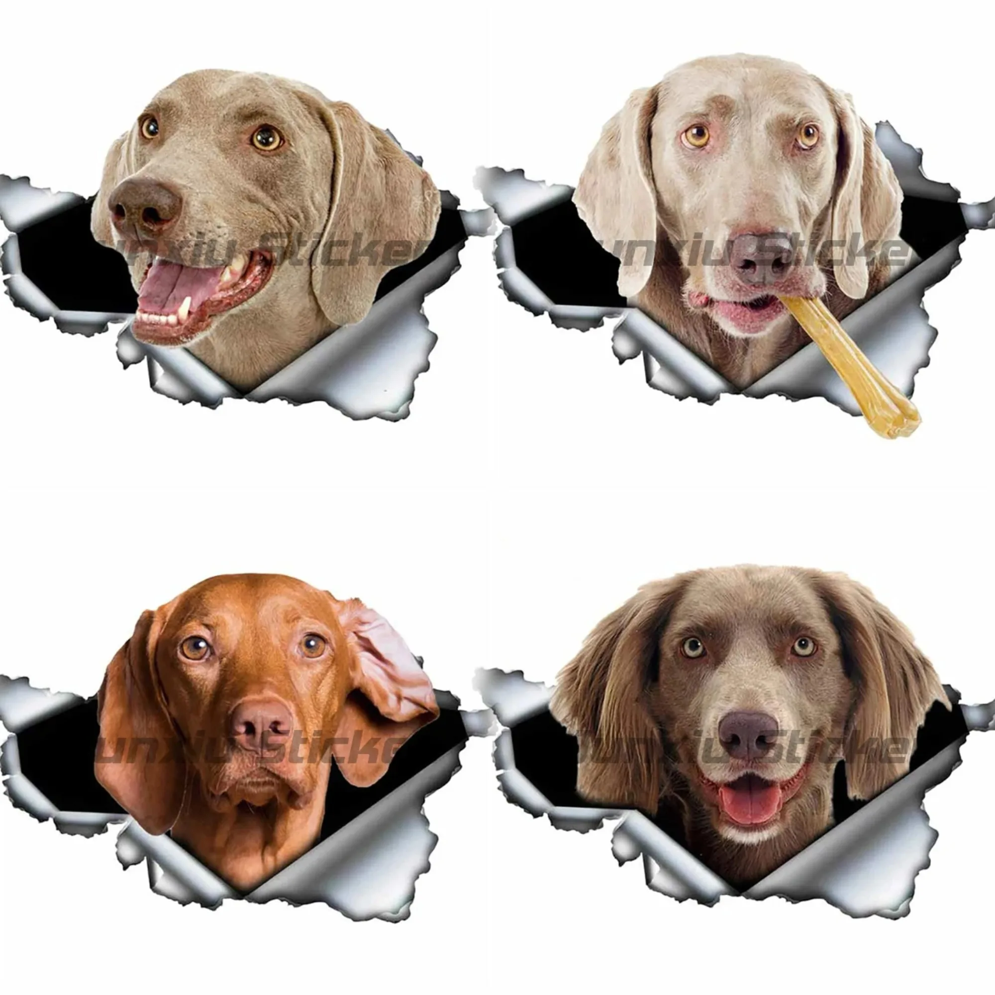 

Weimaraner Dog Vinyl Sticker Funny Cool Car Decal For Motorcycle Laptop Window Waterproof Scratch Resistant Pet Accessories
