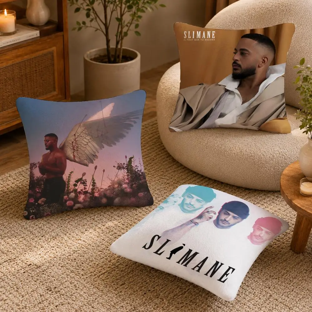 Singer S-Slimane France Cushion Cover Soft Short Plush Pillow Case Double Sided Print Washable Sofa Bed Home Decor Gift